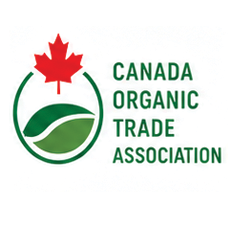 Logo 7